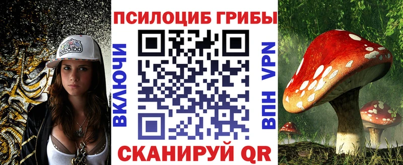 Псилоцибиновые грибы мухоморы  Курчатов 